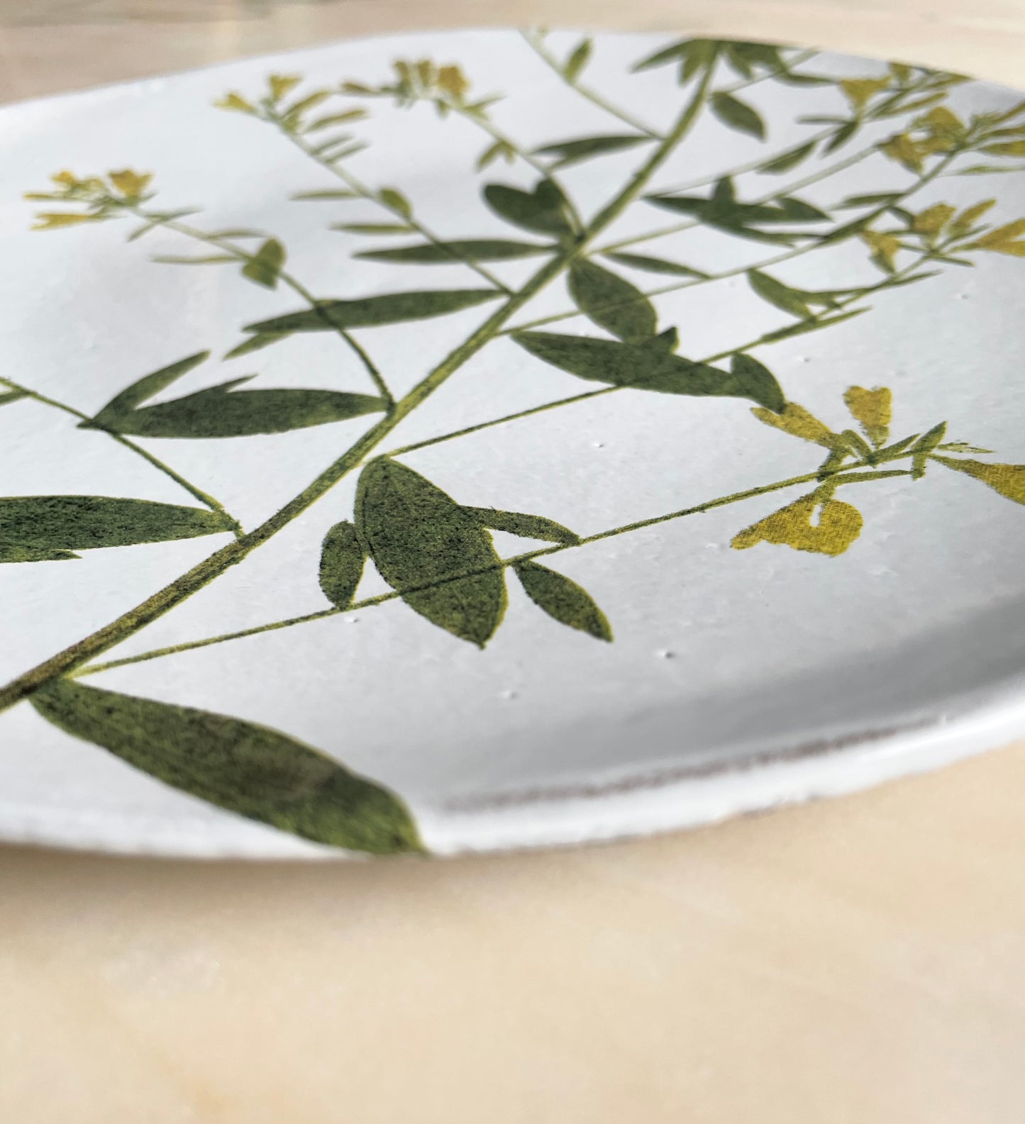 Genista plate medium