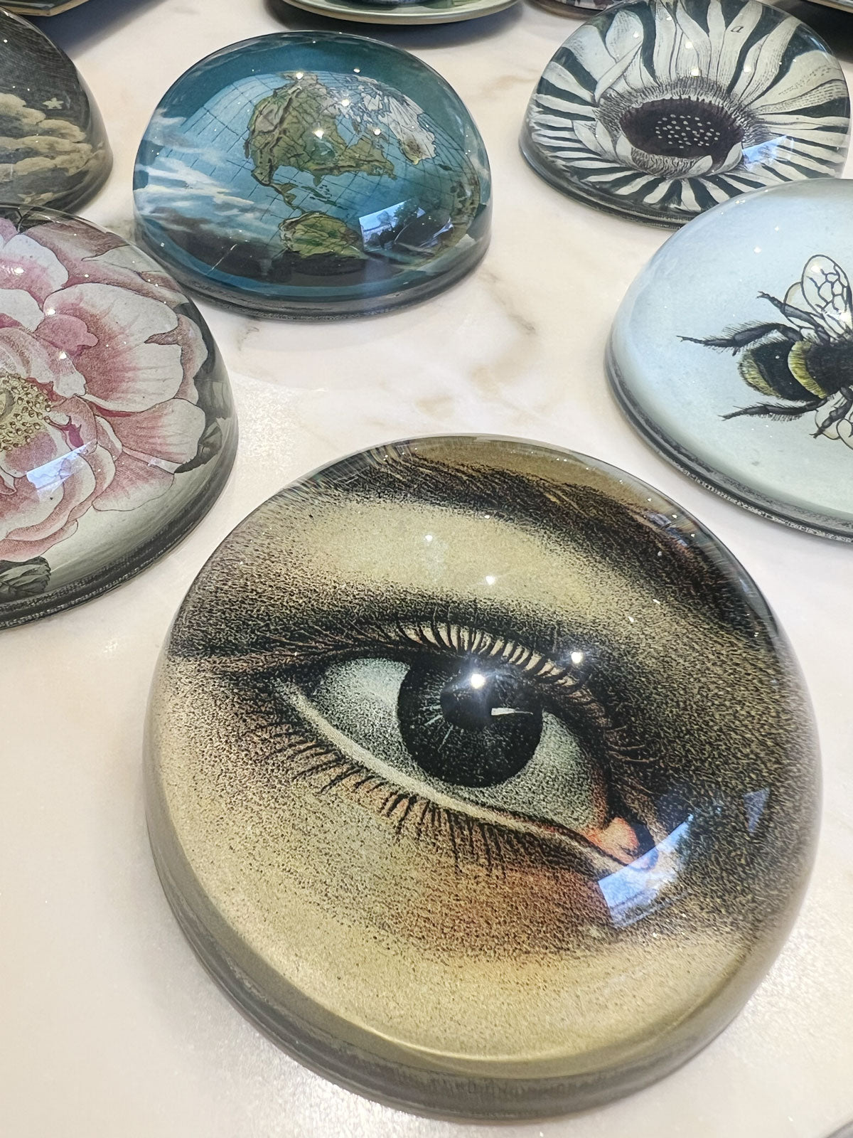Paperweight left eye