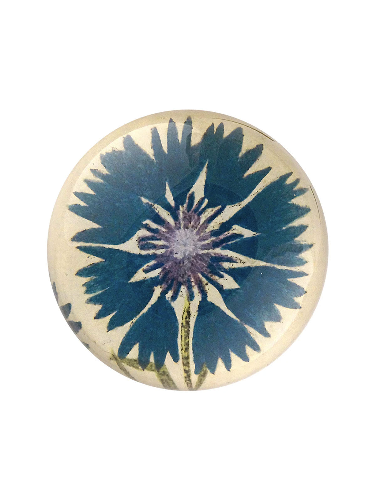 Paperweight Blue Corn Flower