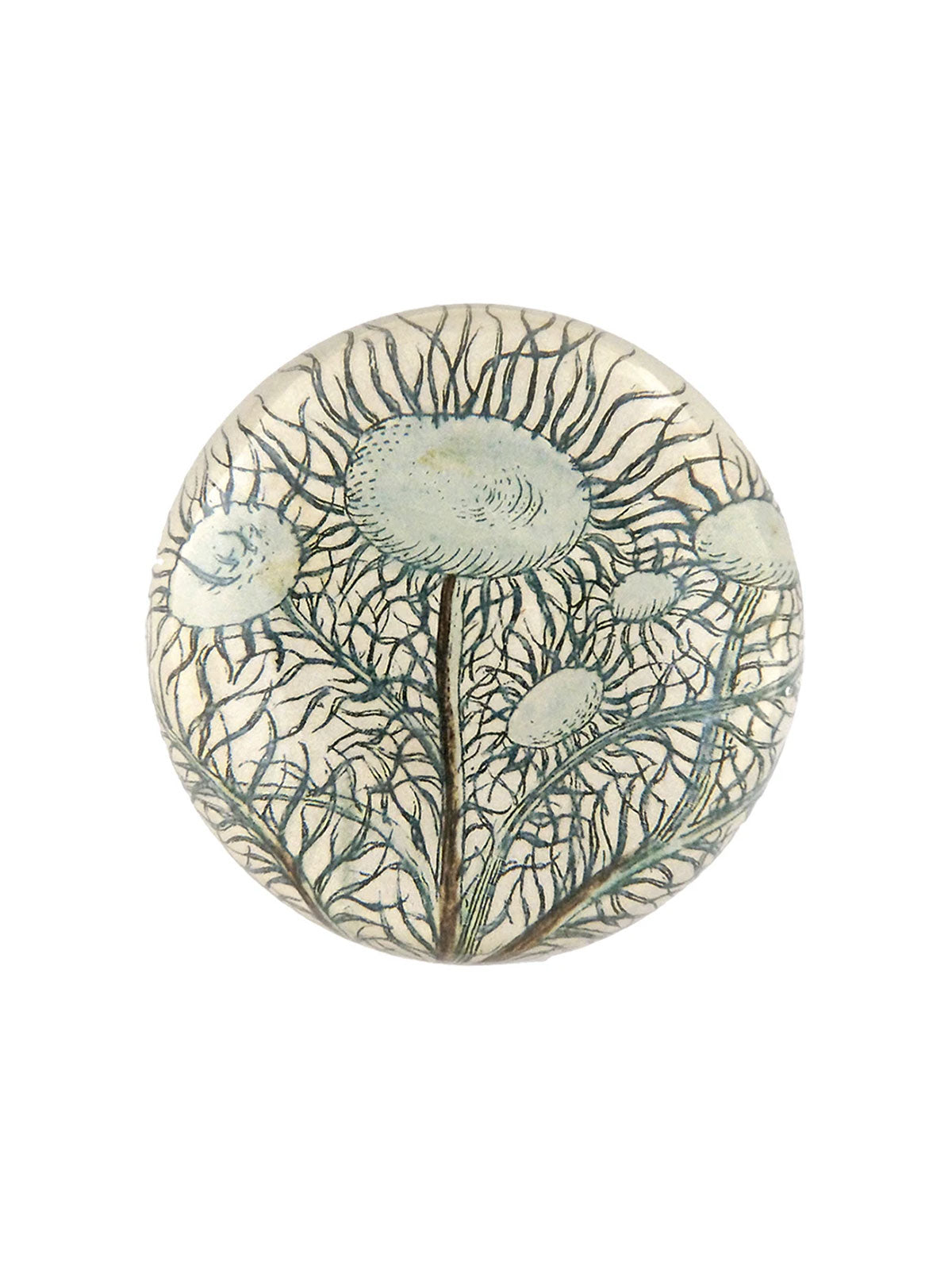 Paperweight Moss Tree