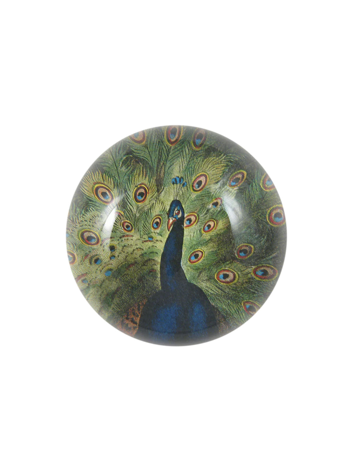 Paperweight Peacock