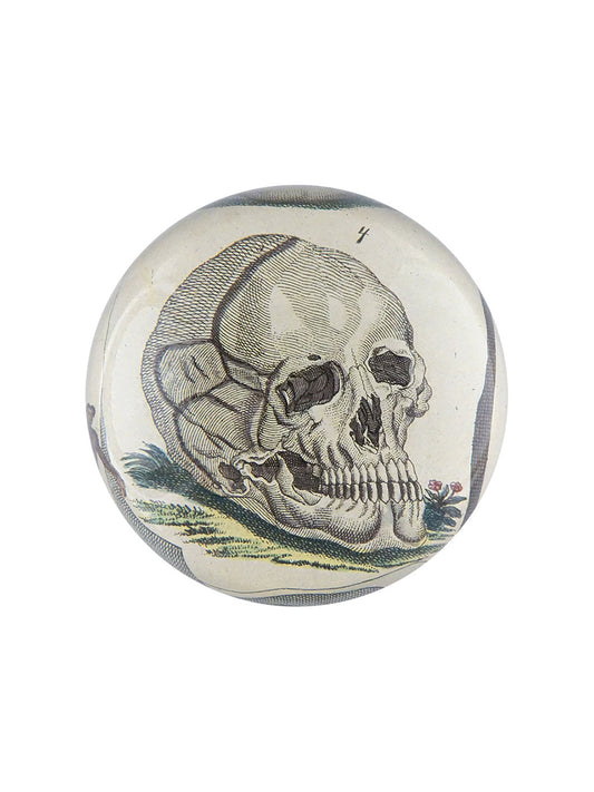 Paperweight Skull