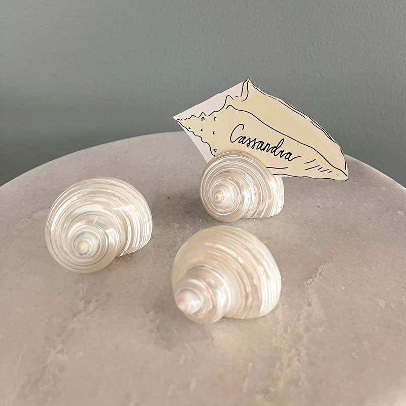 Shell Card Holder