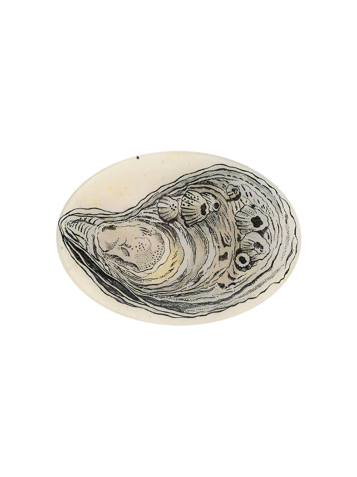 Plate Oyster