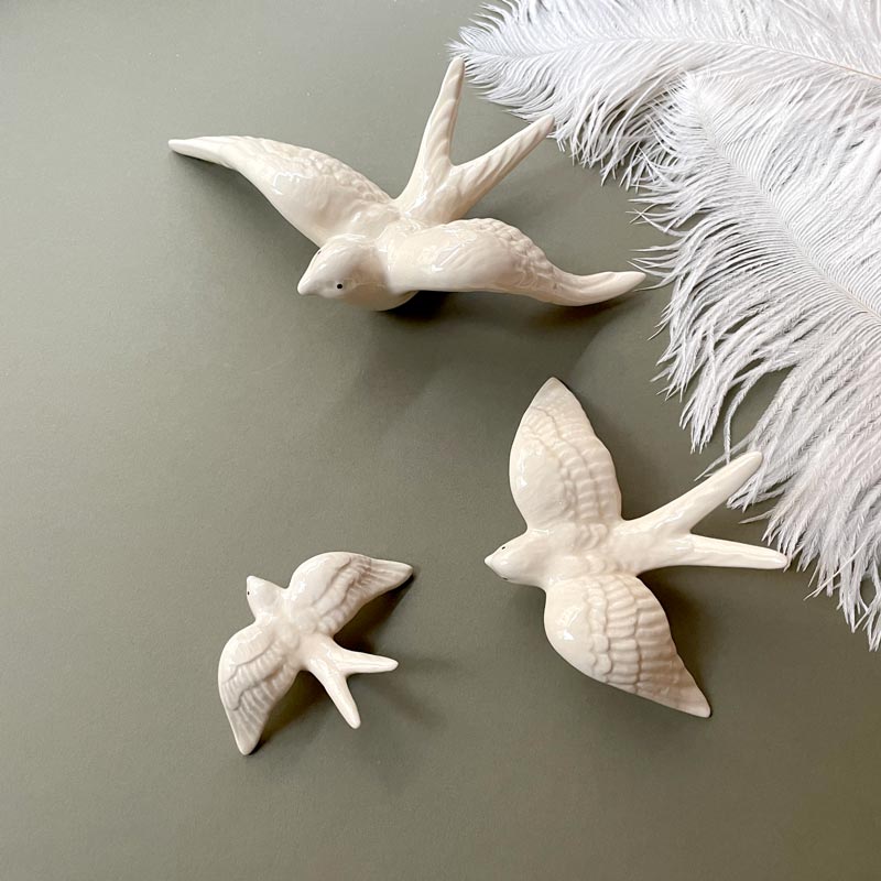 Swallow White Medium