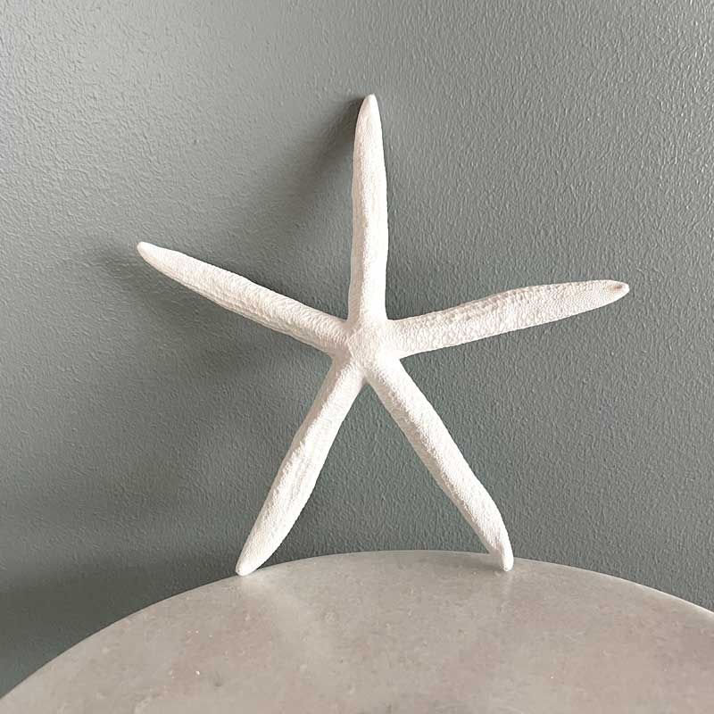 White seastar