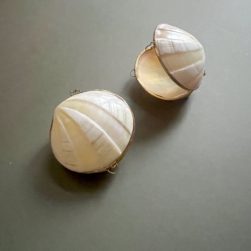 Venus Shell Box