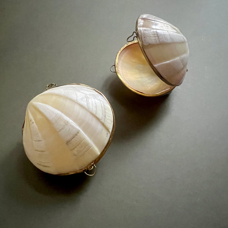 Venus Shell Box