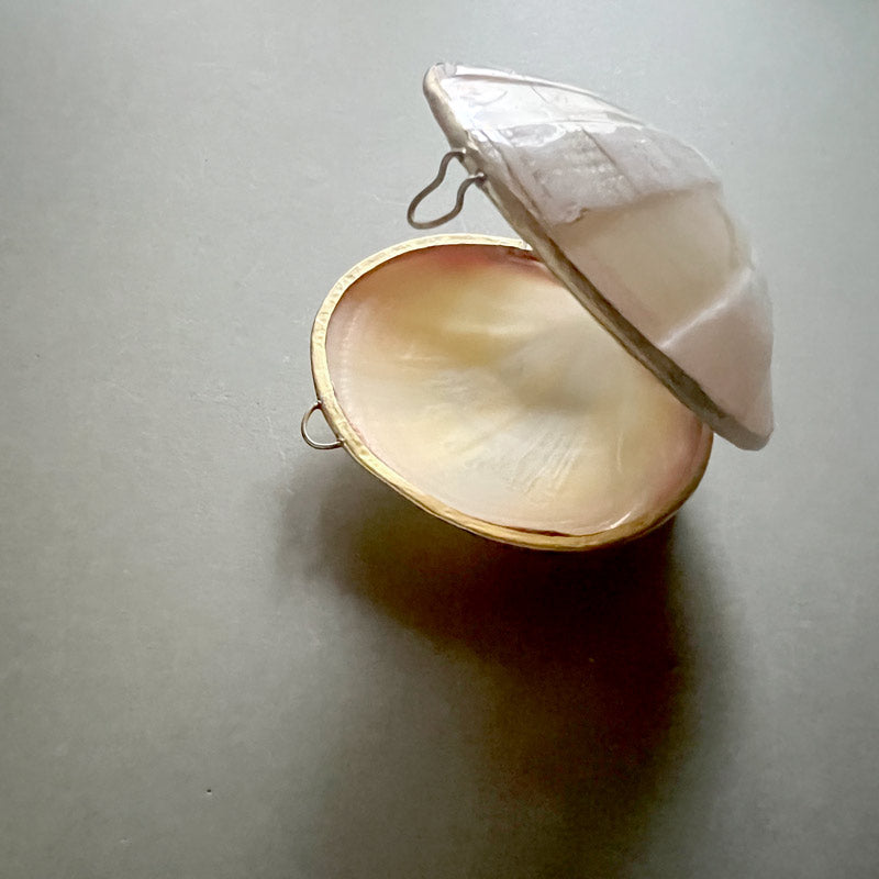 Venus Shell Box