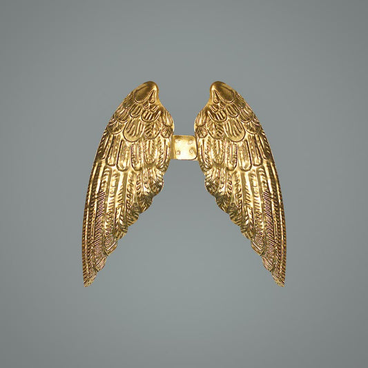 Wings ornament