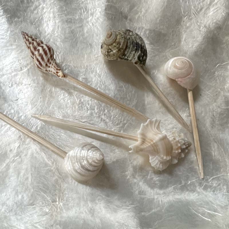 Cocktail shell picks 12 pcs