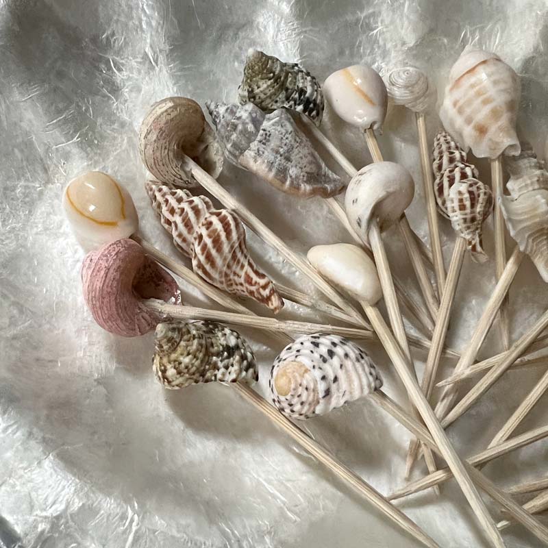 Cocktail shell picks 12 pcs