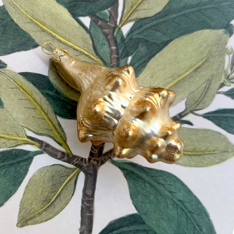 Conch shell Ornament