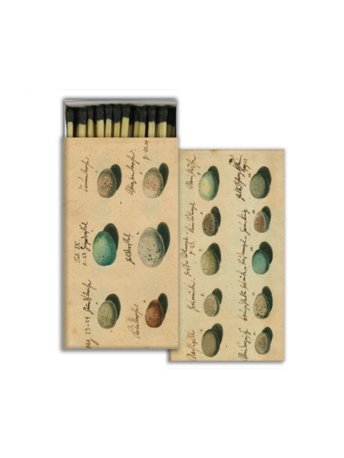 Match Box Eggs