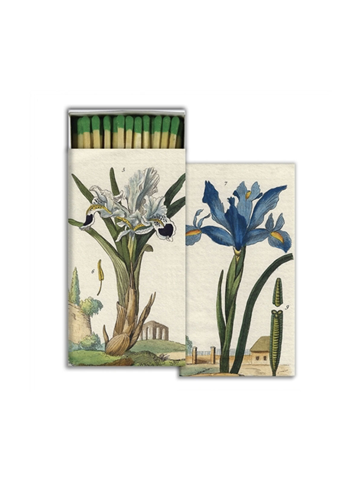 Match Boxs Iris