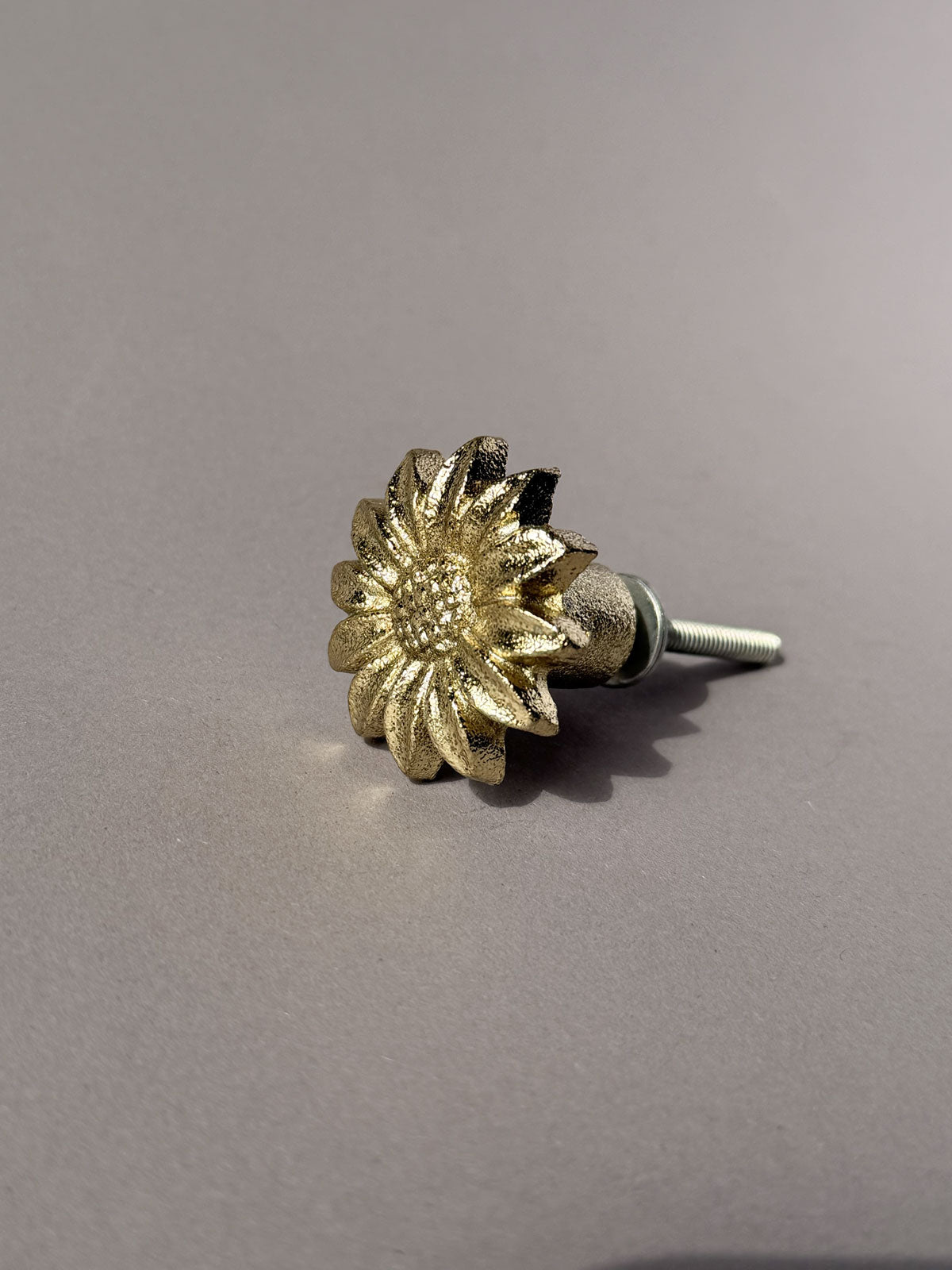 Cast iron knob Daisy