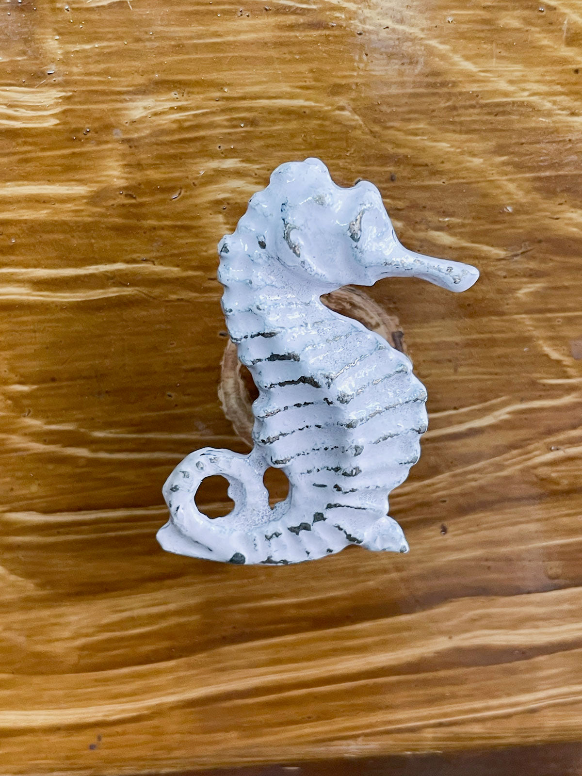 Cast iron knob Seahorse