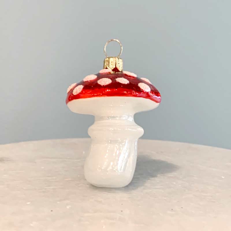 Fly Agaric mushroom