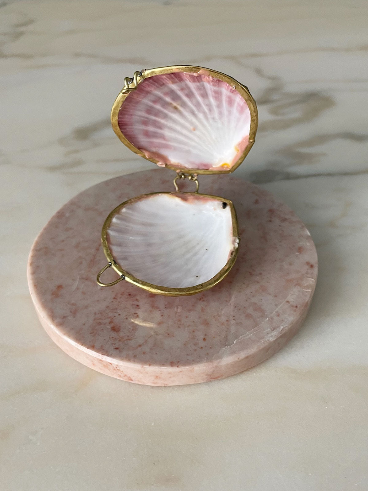 Shell Box Rubina