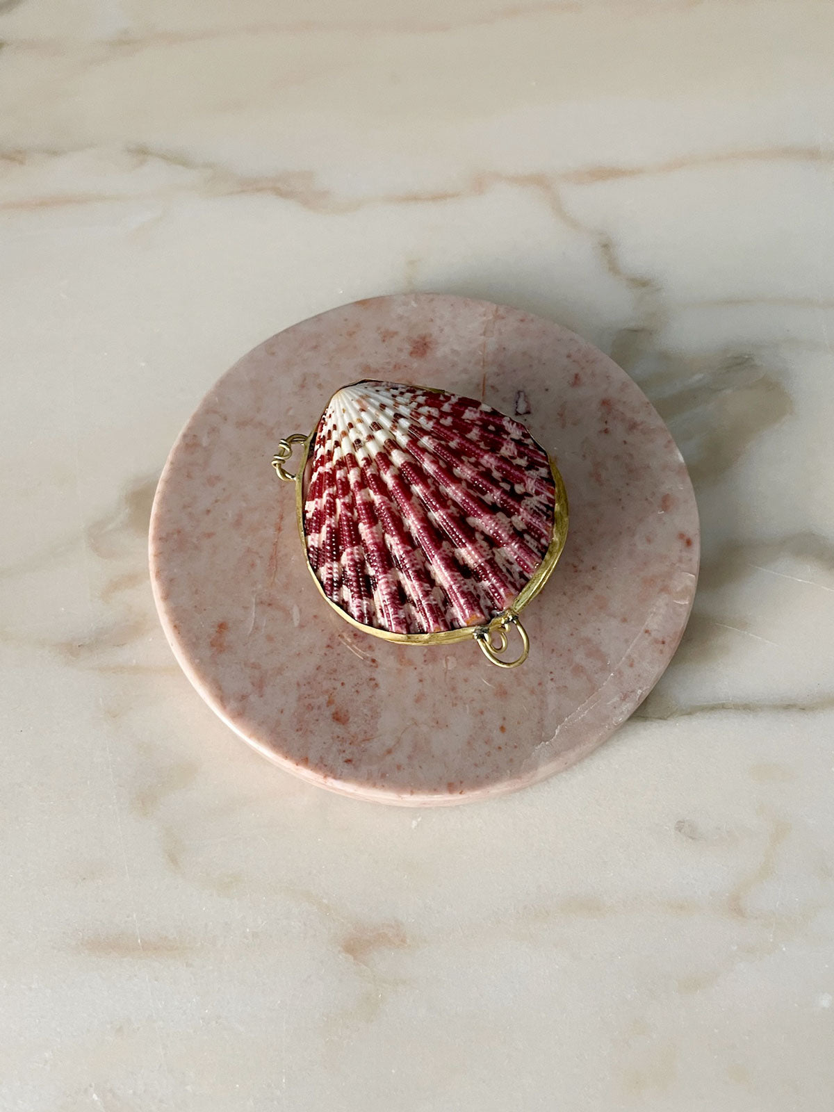 Shell Box Rubina