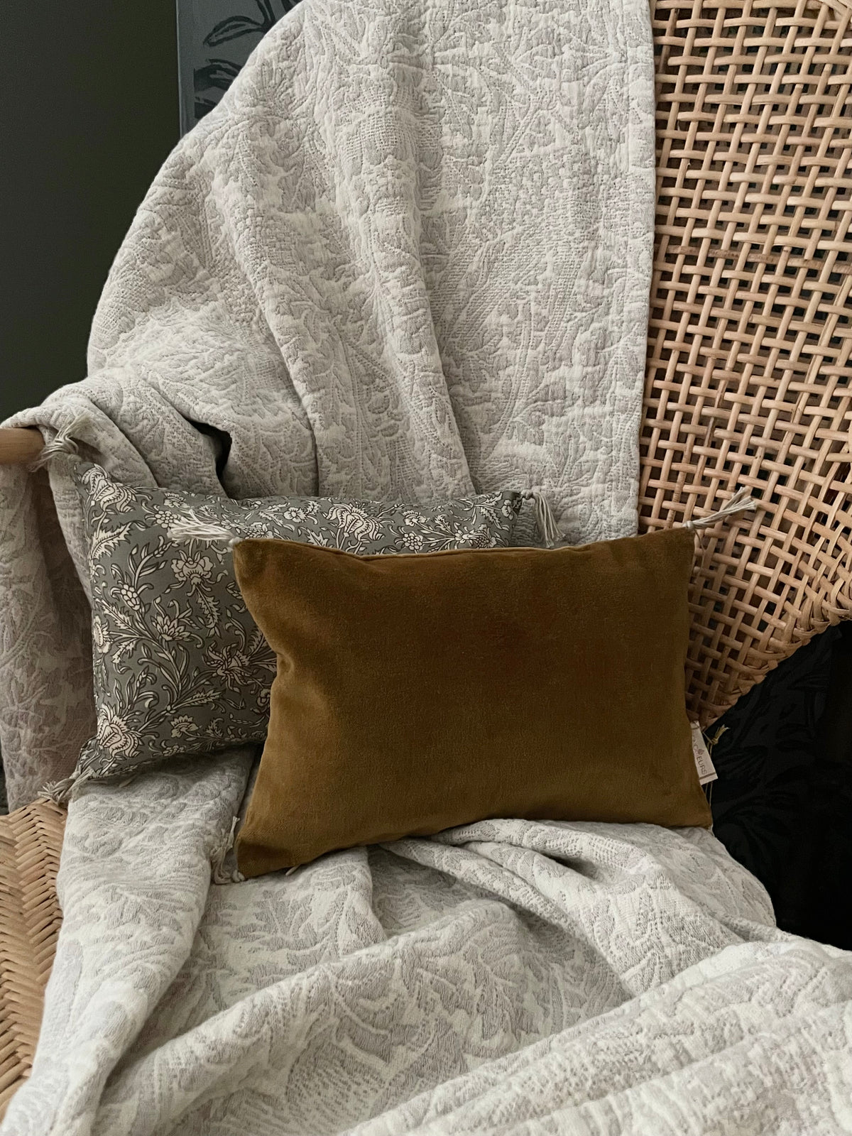 Mini cushion Velvet