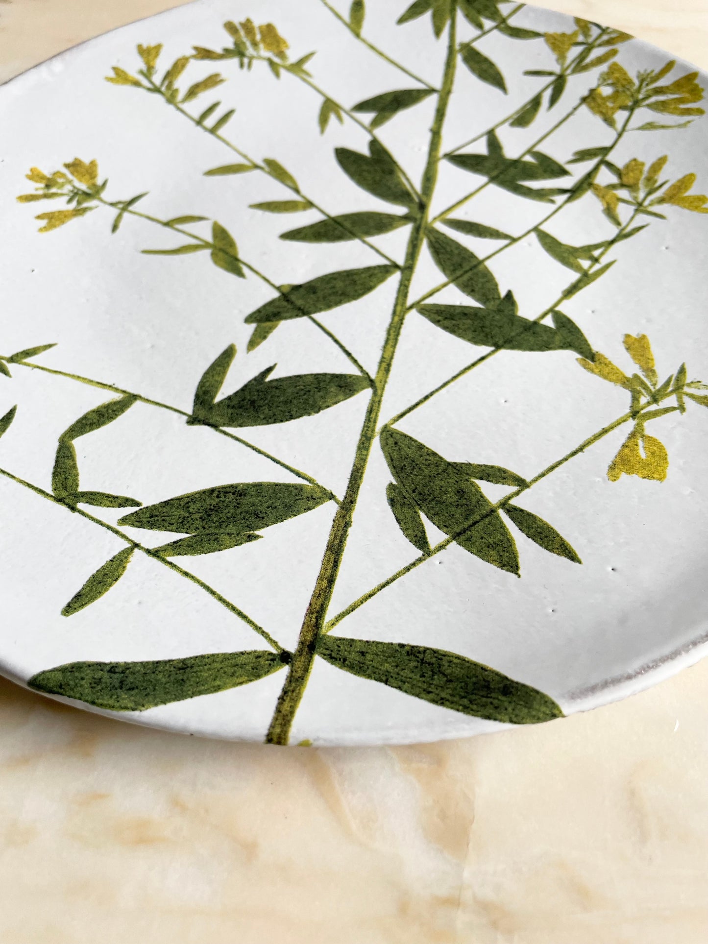 Genista plate medium