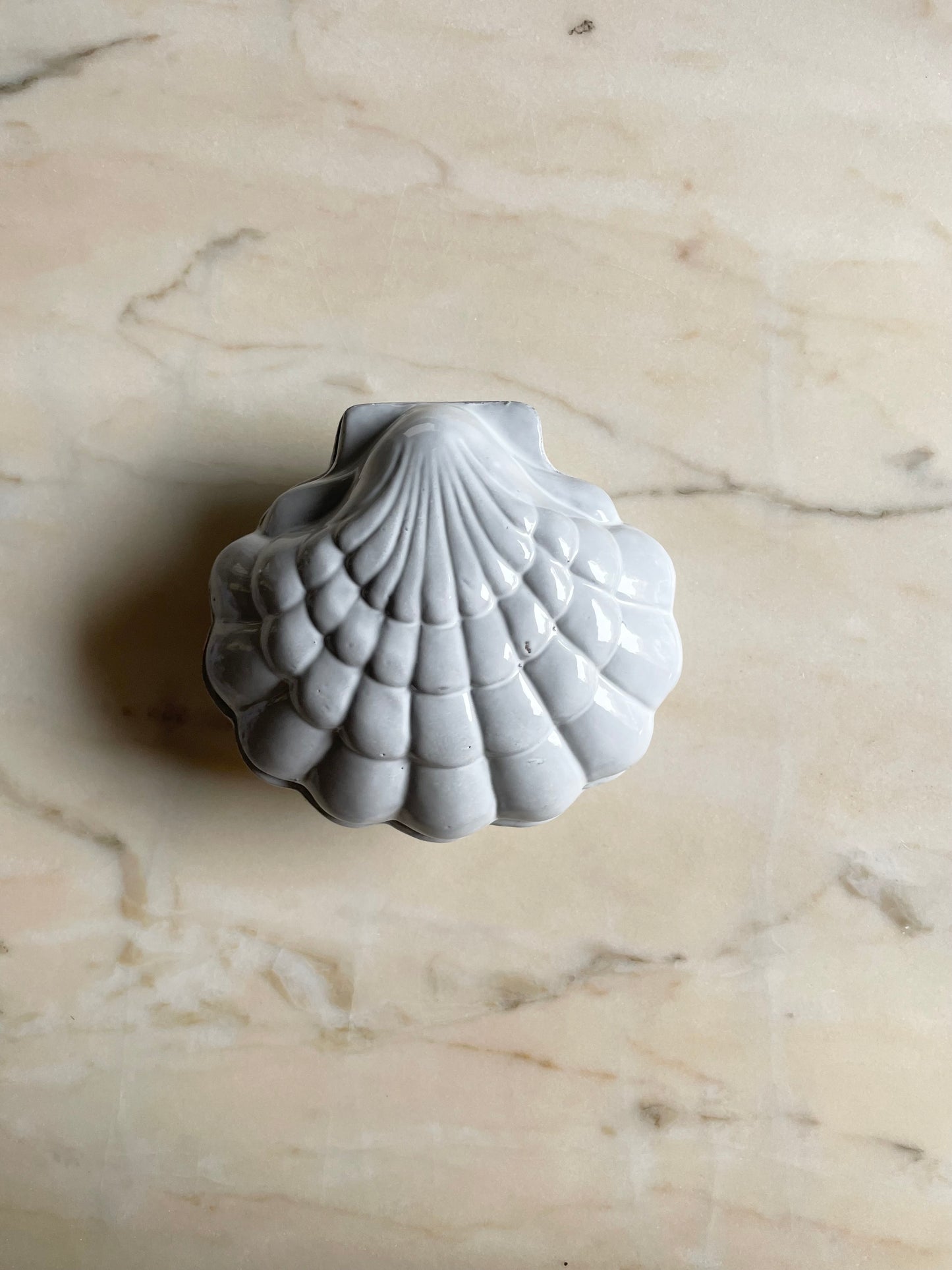 Coquillage box