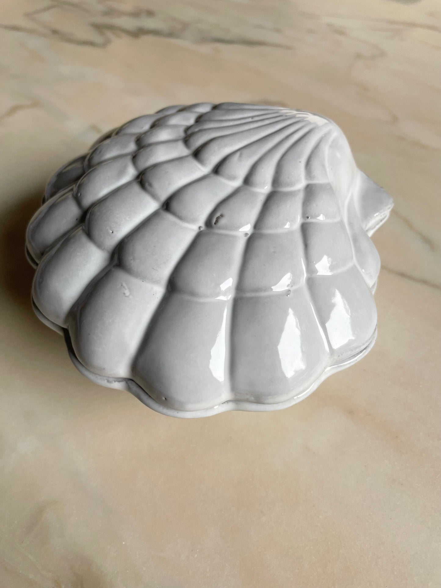 Coquillage box