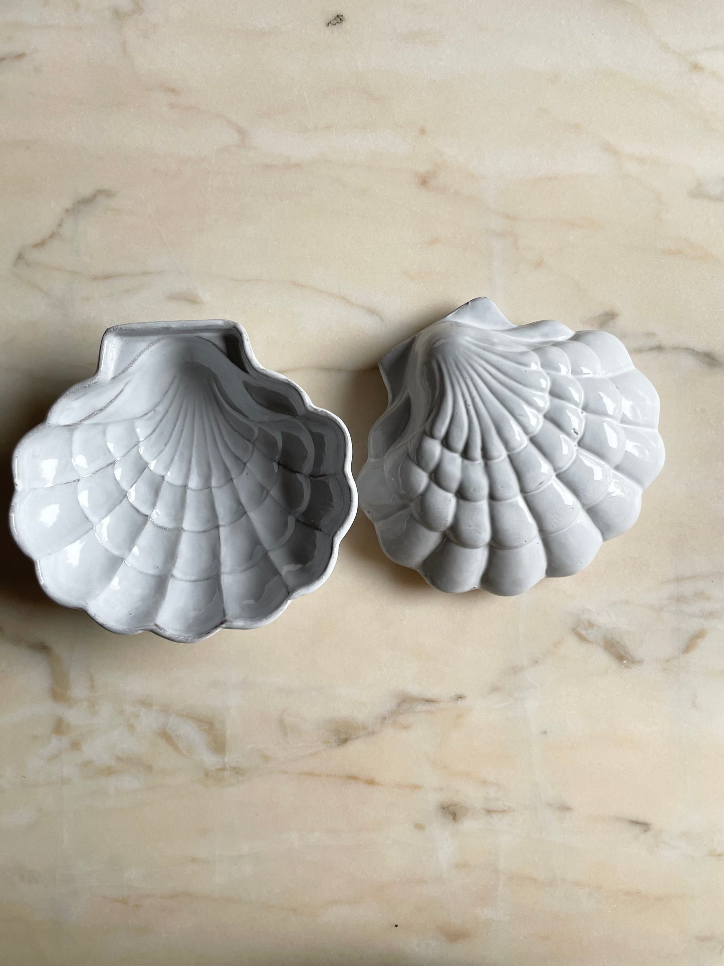 Coquillage box