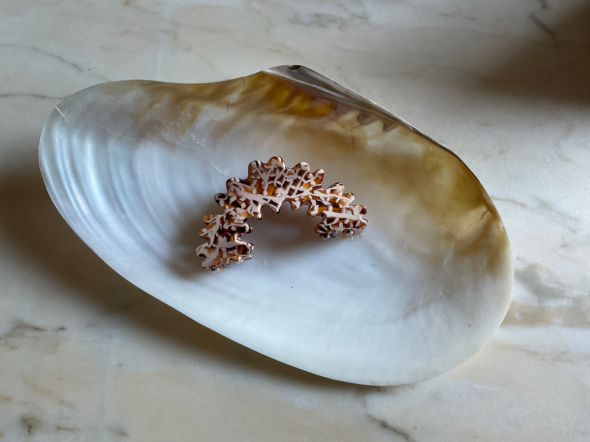 Della hair claw nougat