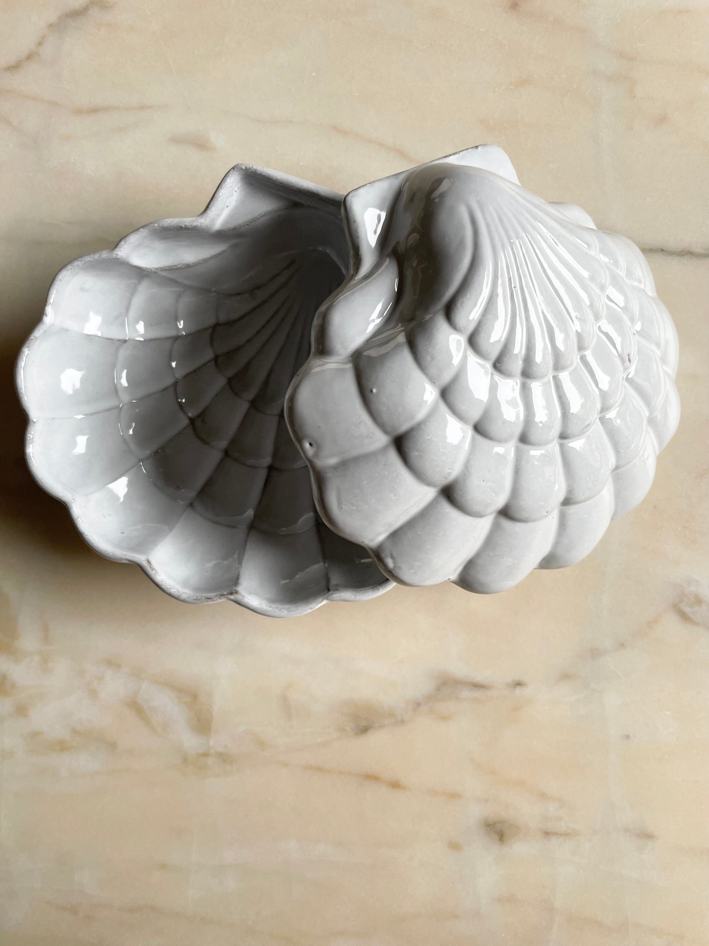 Coquillage box