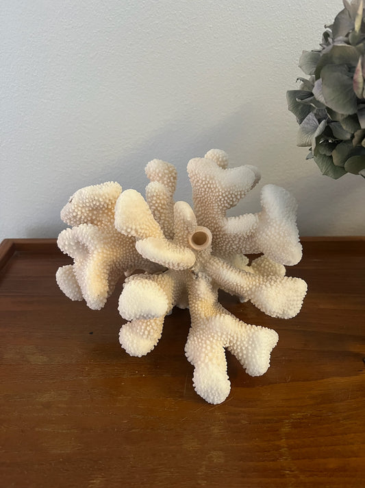 Coral