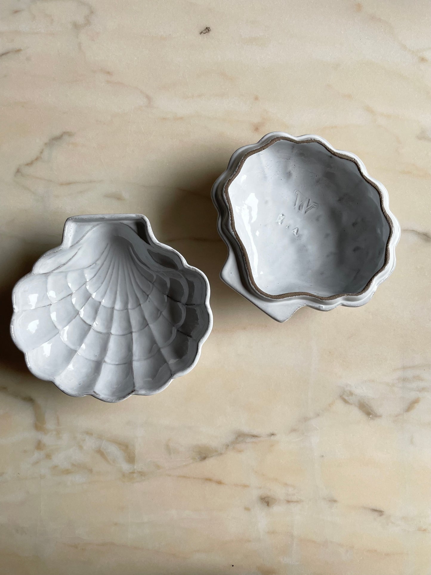 Coquillage box