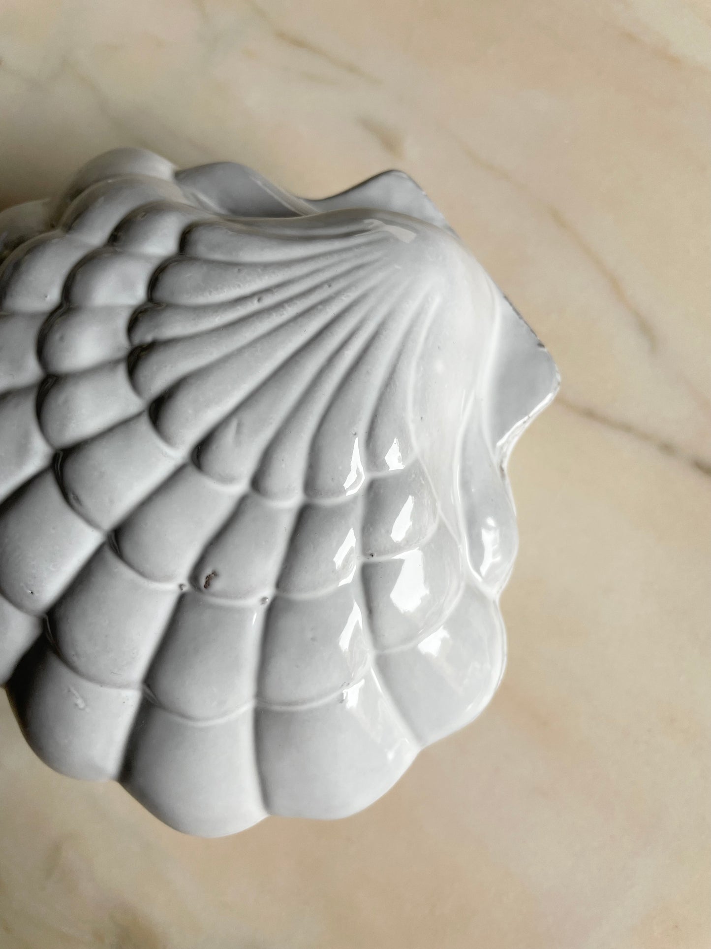 Coquillage box