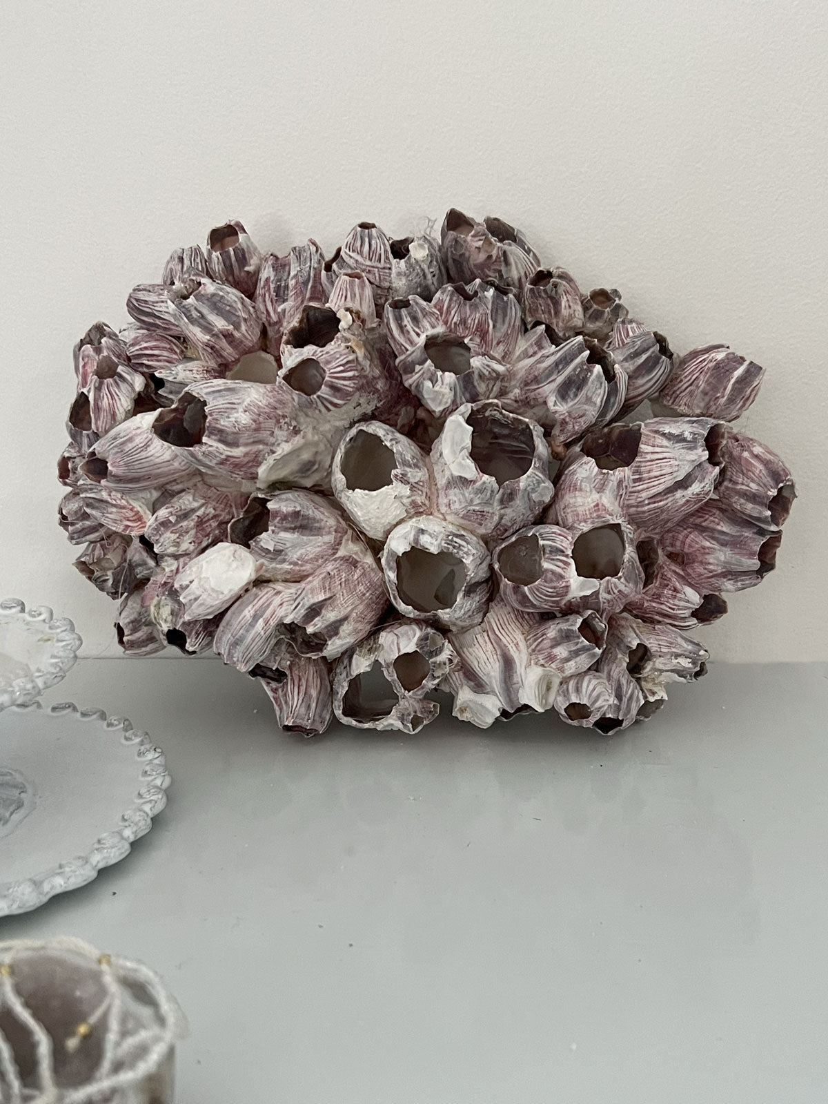 Barnacle Block Large