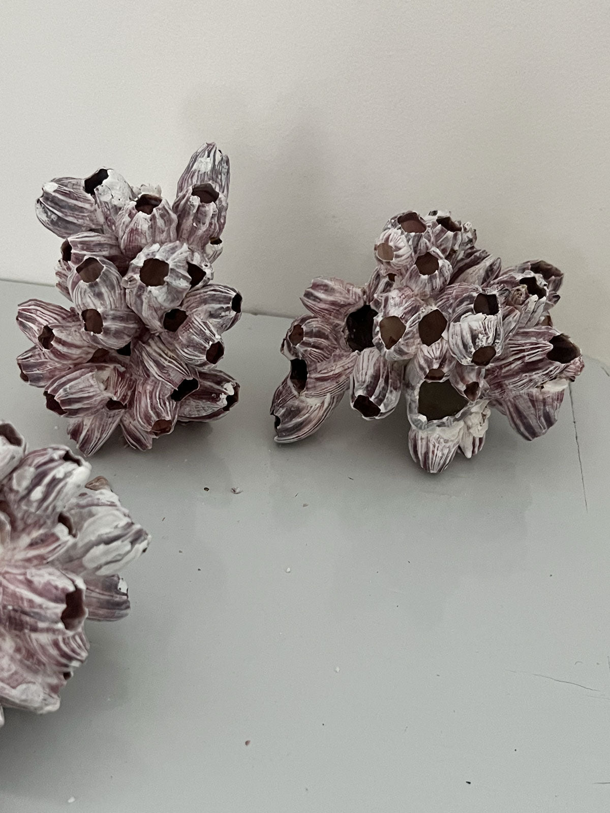 Barnacle Block Small