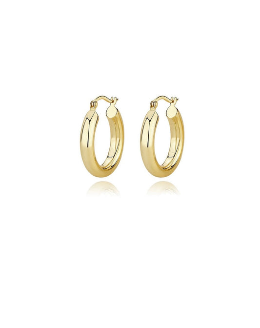 Bold Loop Ear Hoop
