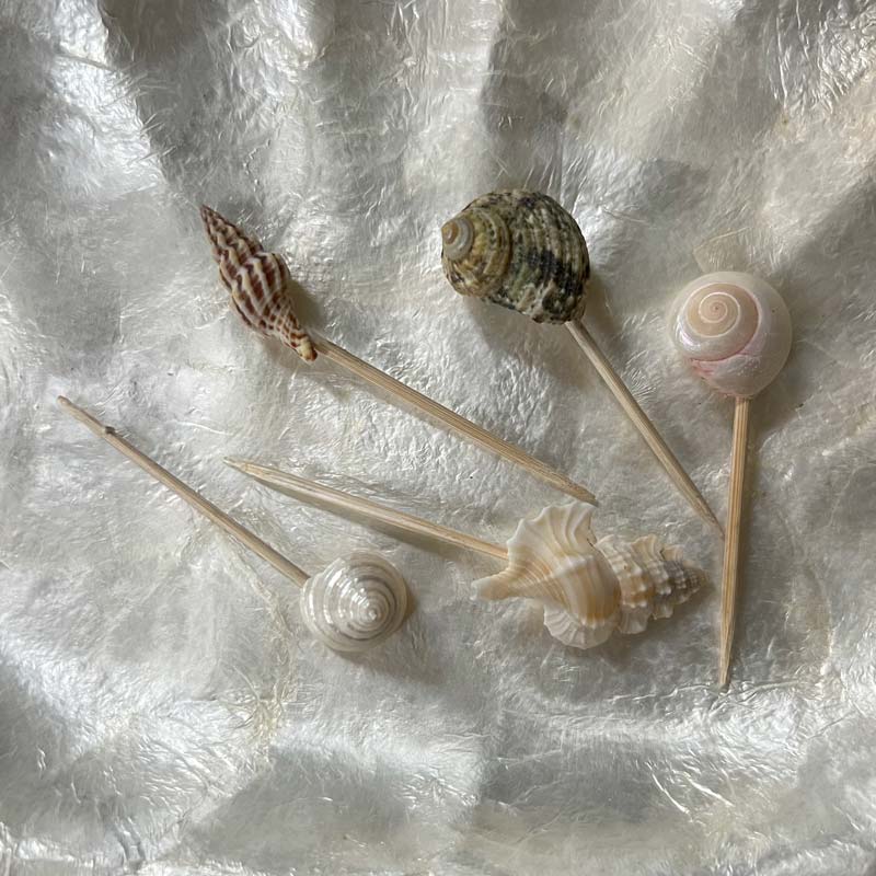 Cocktail shell picks 12 pcs