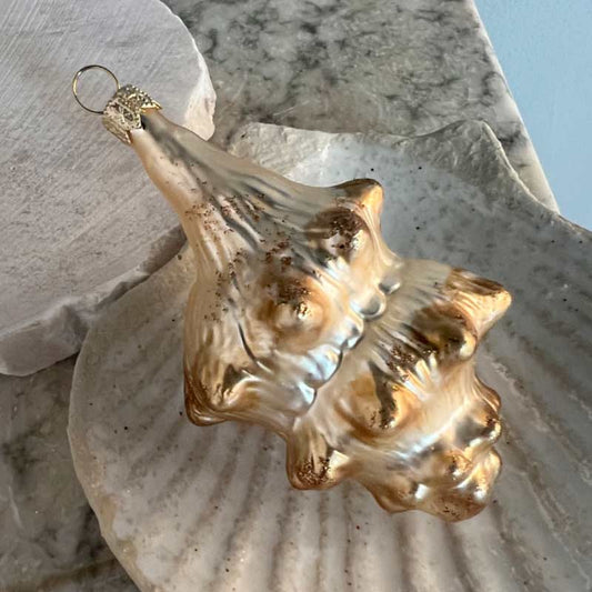 Conch shell Ornament