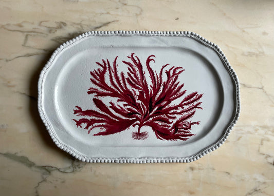 Seaweed platter