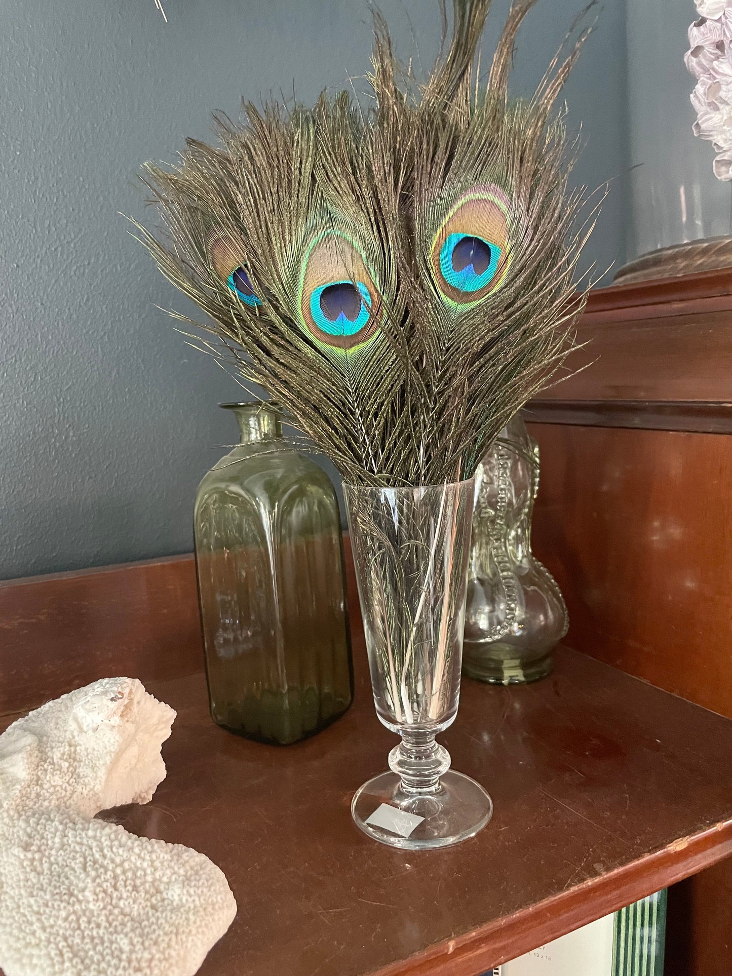 Peacock Feather