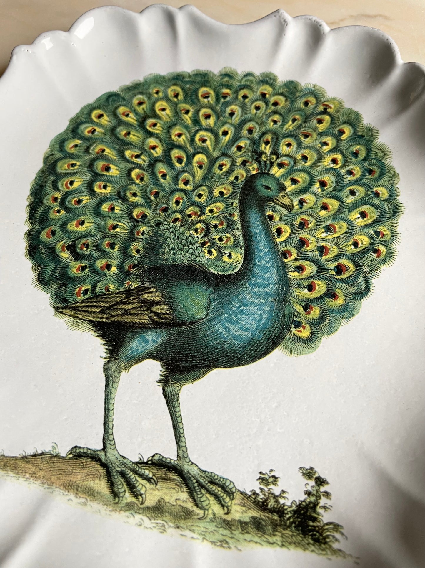 Peacock dinner plate