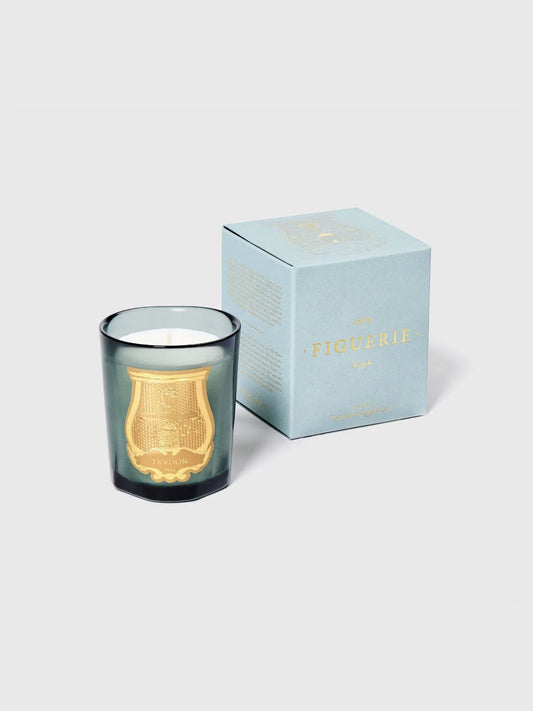 Trudon scented candle petit Figuerie