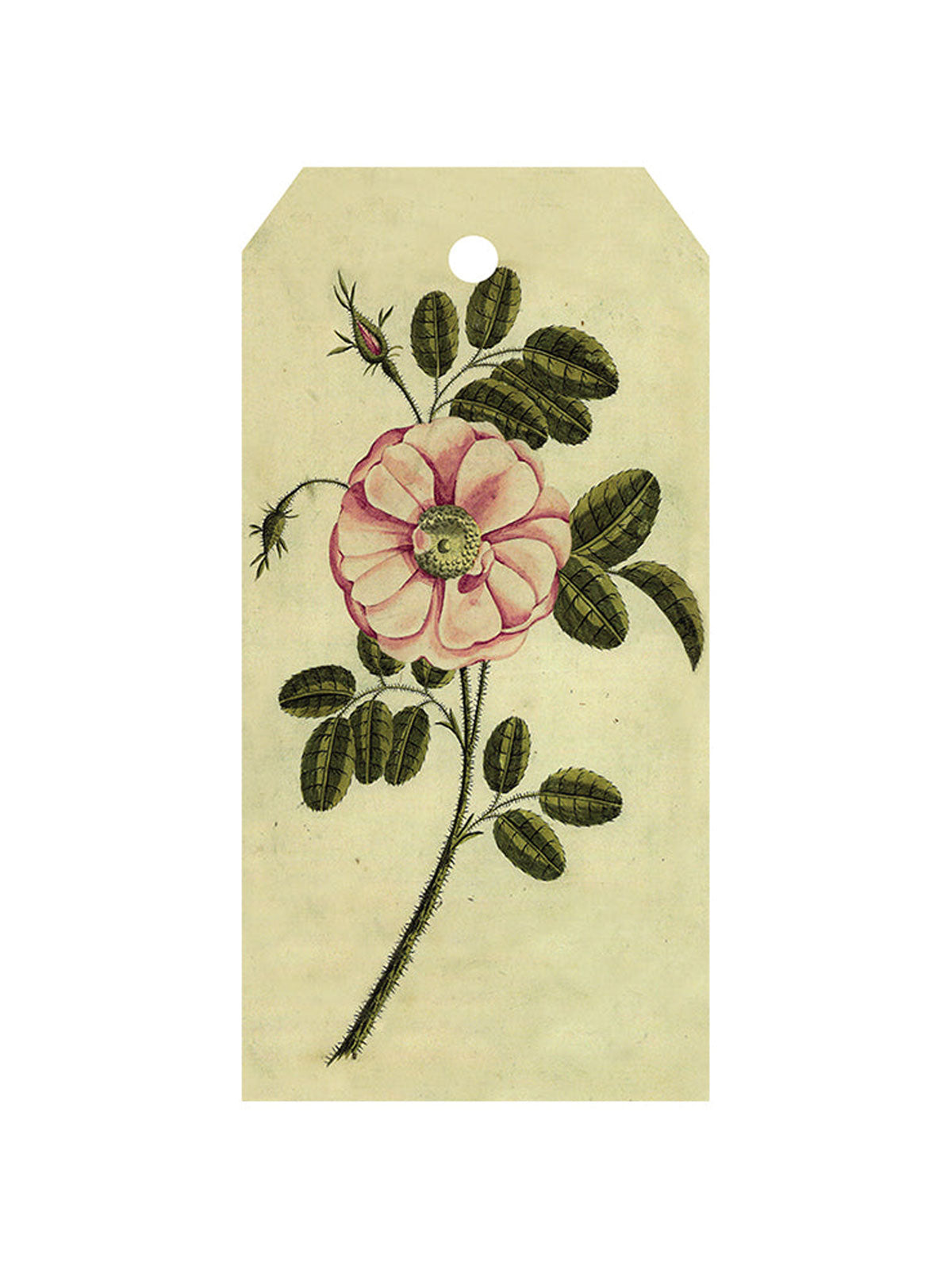 Rose Gift Tag