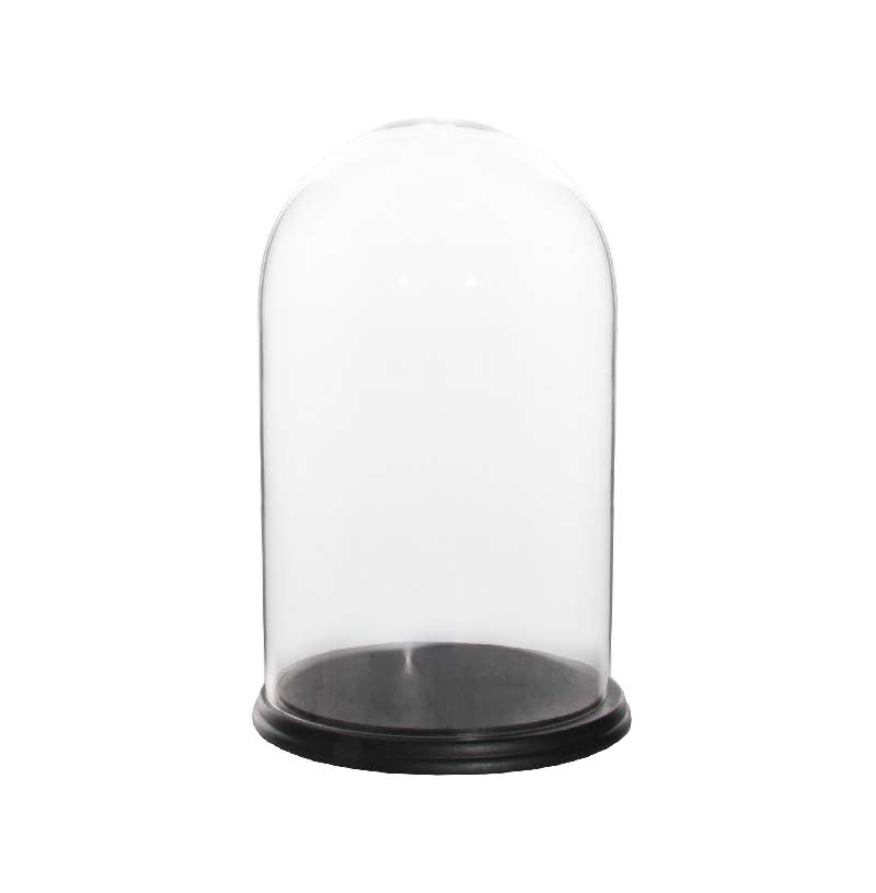 Glass dome XL