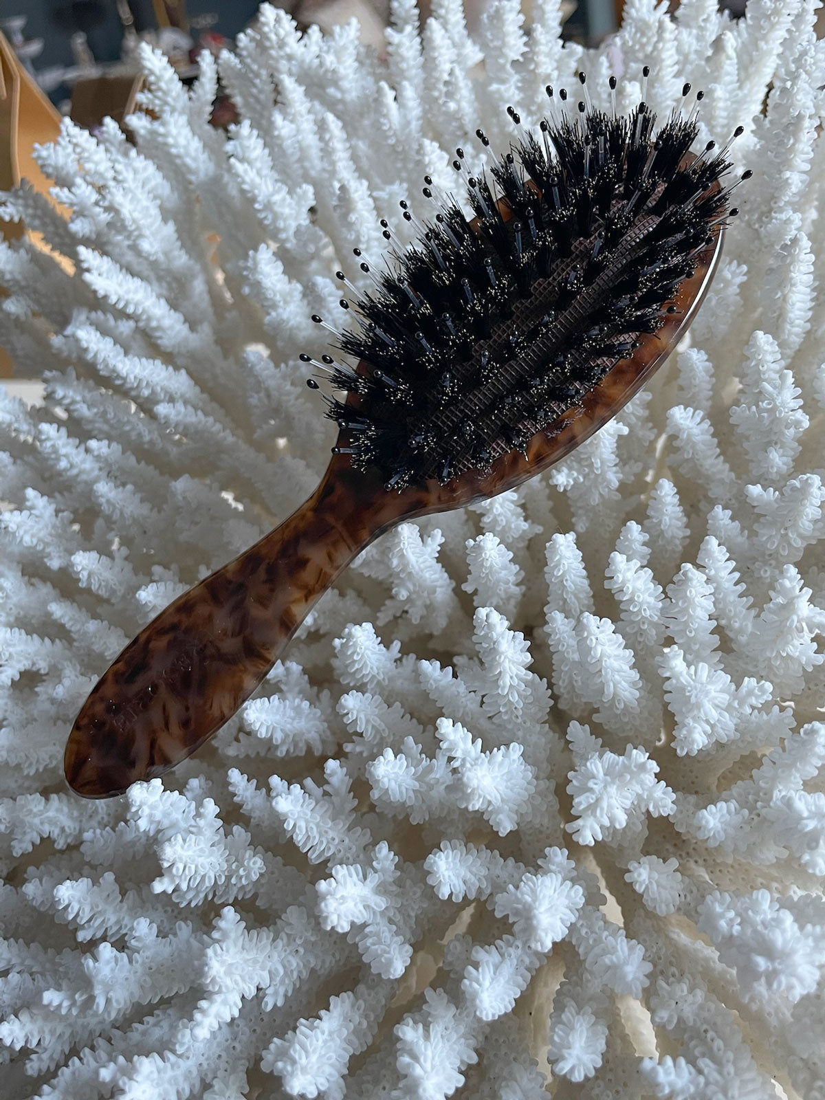 Loyal Hairbrush Compact