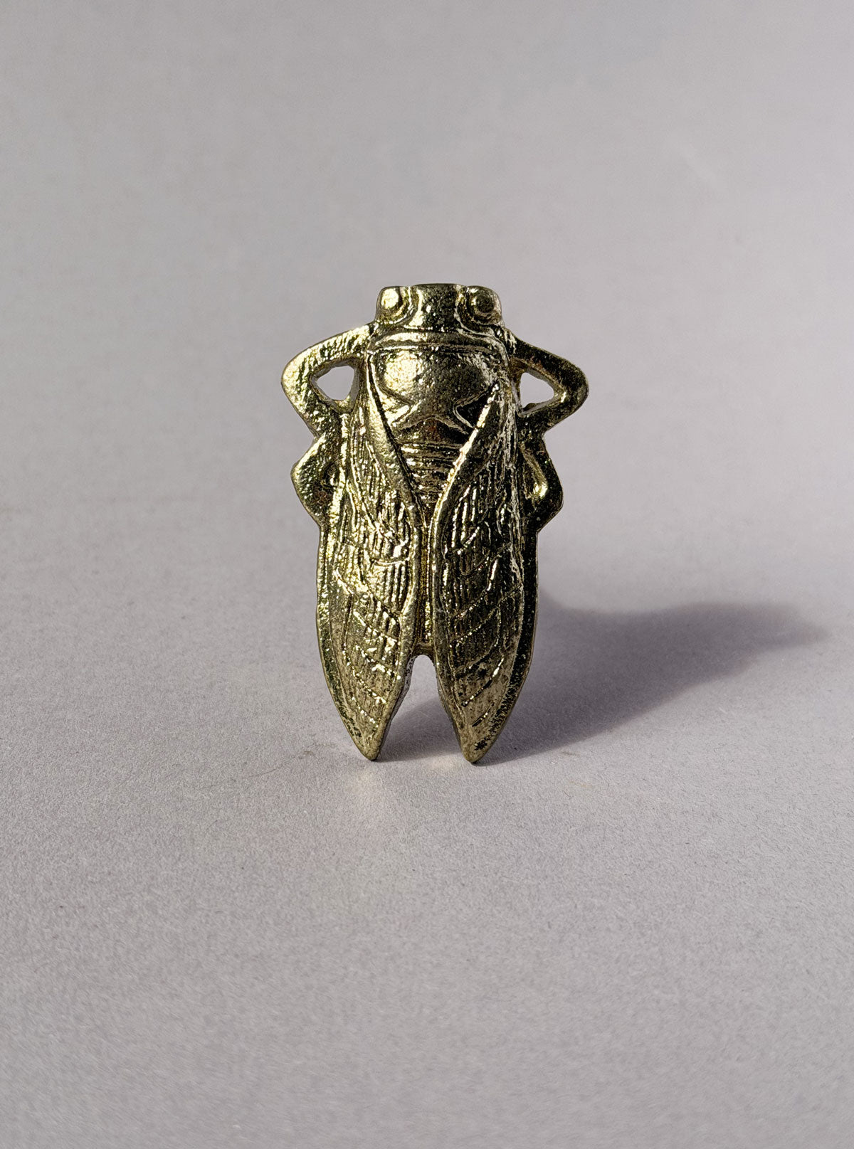 Cast iron knob Cicada gold