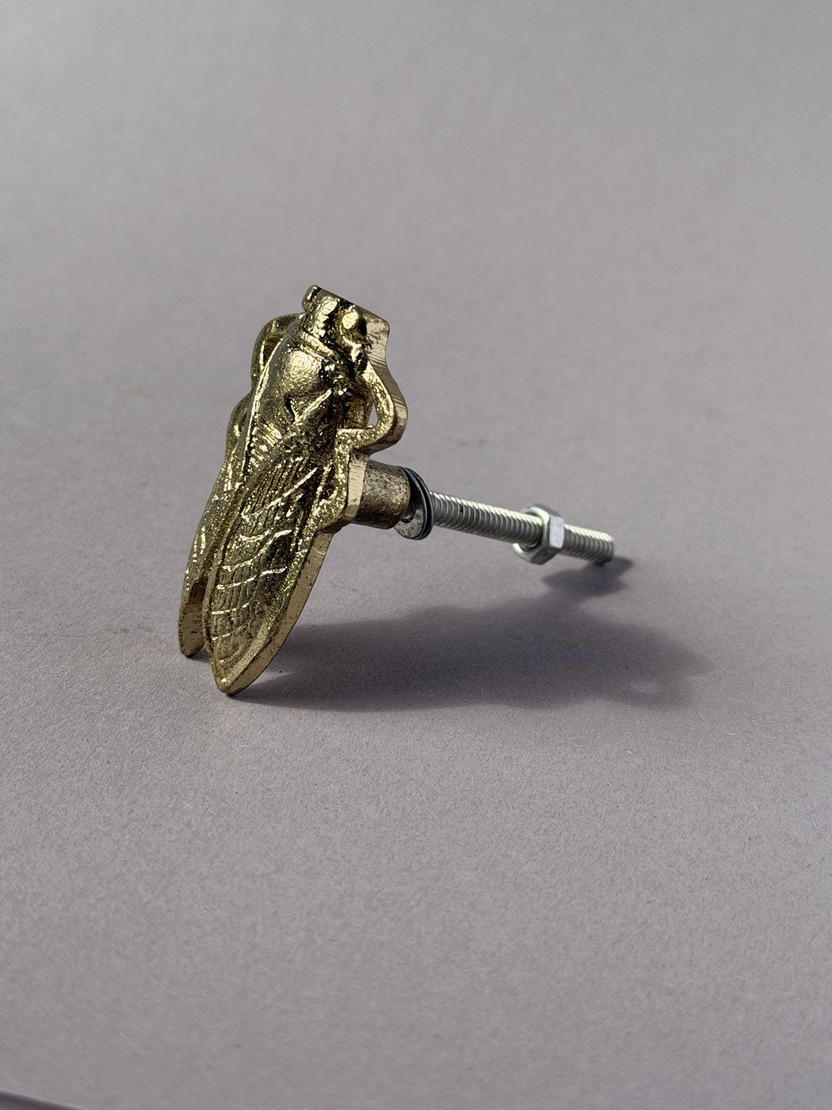 Cast iron knob Cicada gold