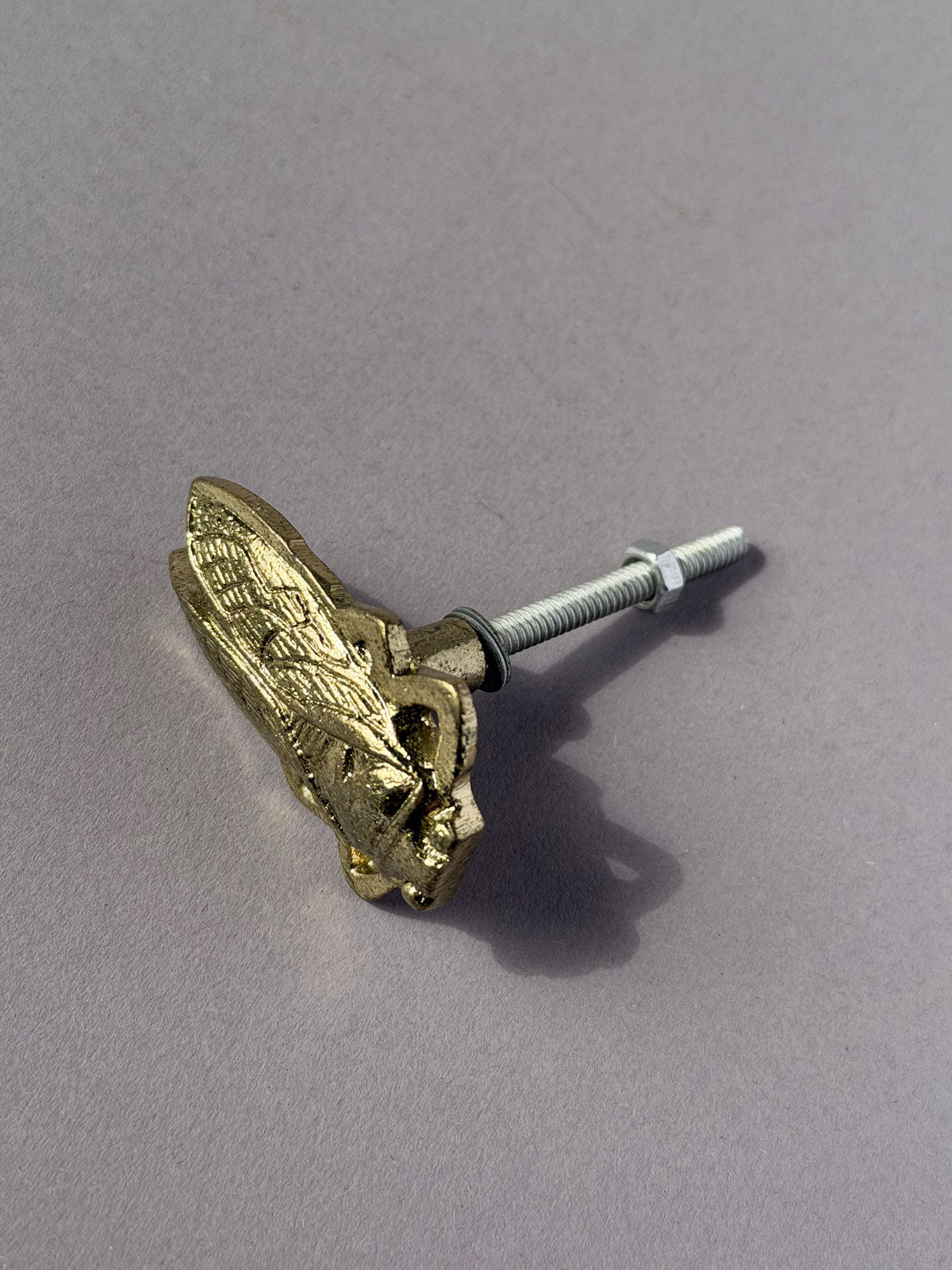 Cast iron knob Cicada gold