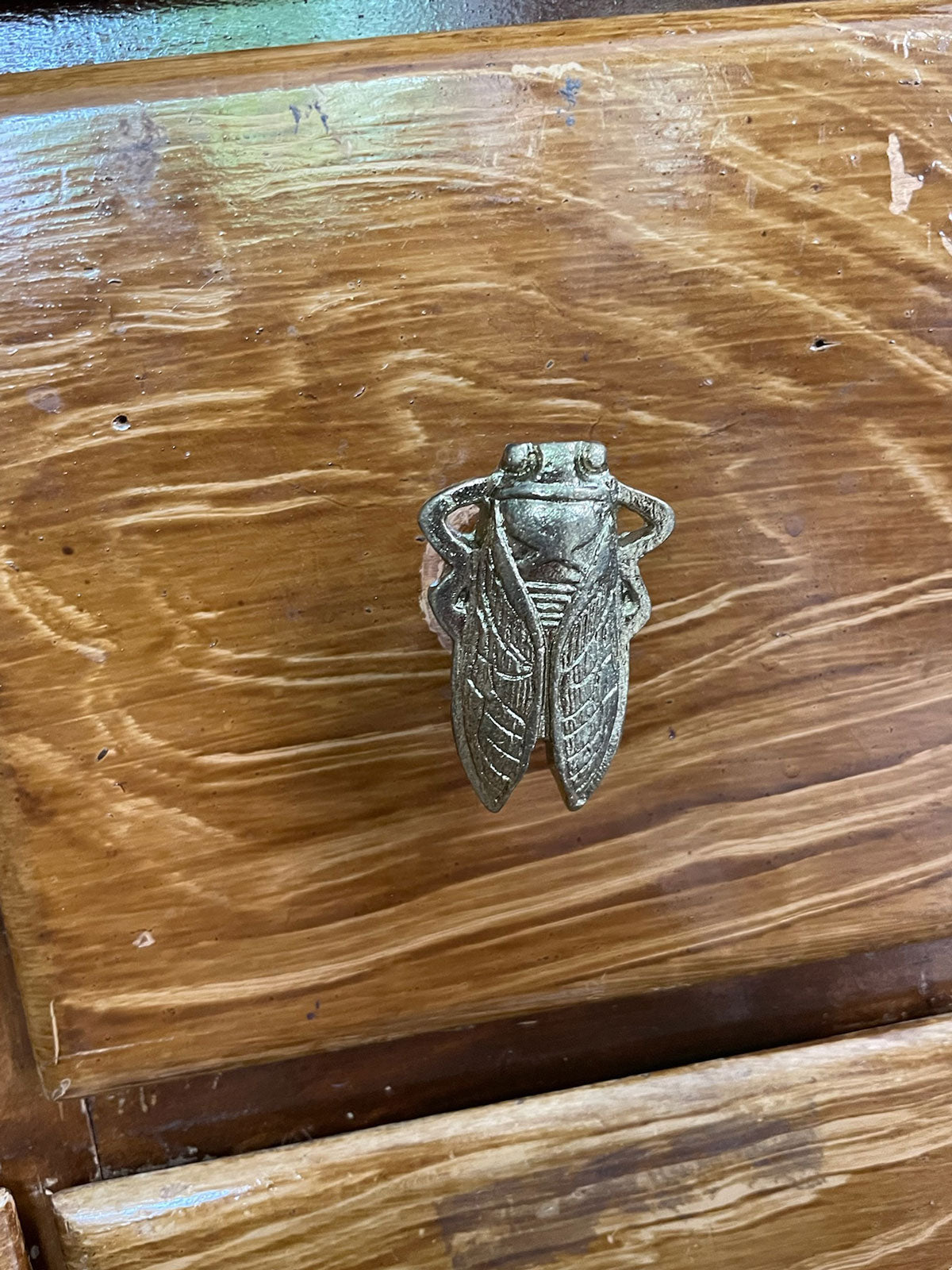 Cast iron knob Cicada gold